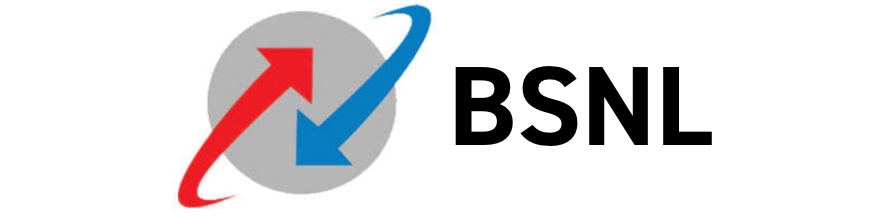 Partner Logo 1