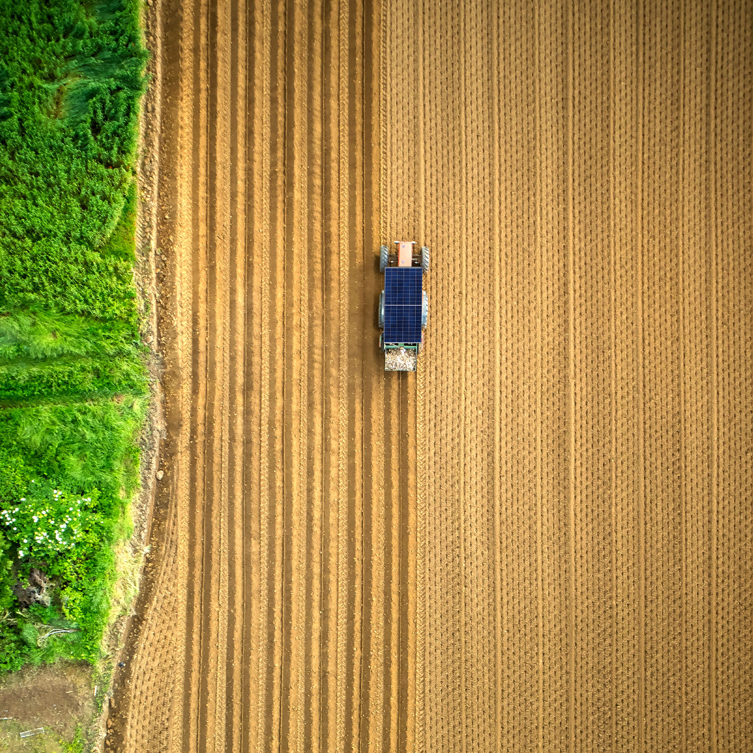 Solar Powered Automatic Ploughing and Irrigation Machine for Agriculture